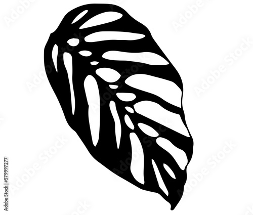 Monstera Adansonii leaf flat vector icon Swiss cheese plant 
