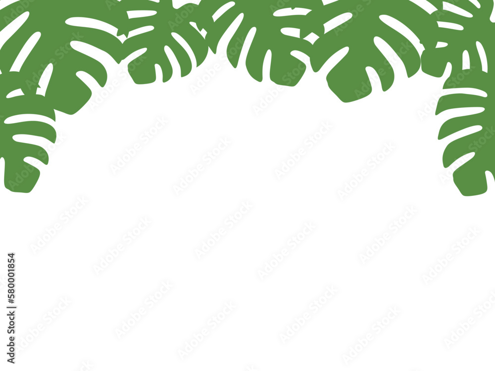 Obraz premium モンステラF1