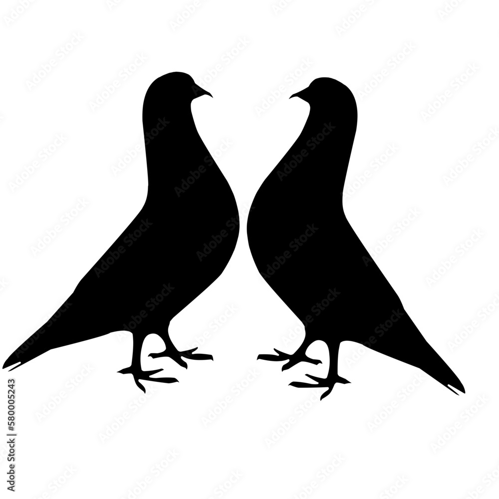 Obraz premium two pigeons silhouette