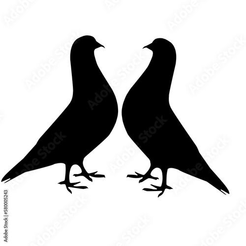 two pigeons silhouette