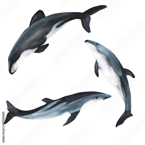 Three hand drawn watercolor dolphins. An illustration for printing design. Isolated on white.