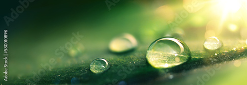 Fotografia A beautiful drop of morning dew in the sun's rays, macro photography