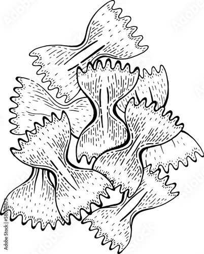 Farfalle pasta. Engrave sketch farfalle bow vector. Hand drawn italian food. Pasta butterfly shape icon. Doodle illustration. Macaroni logo design. Single vintage food. Realistic line etching menu art
