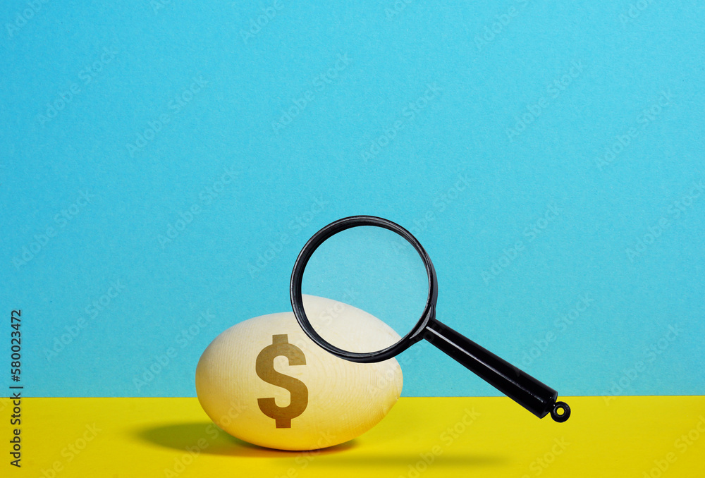 Business incubator and Start up business grants are shown using the photo of egg and Magnifying glass. Invest in Ukraine. Business incubator and Start up business grants are shown using the photo of egg and Magnifying glass. Invest in Ukraine.