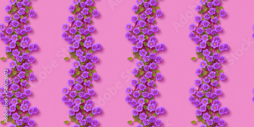 Wallpaper with seamless texture, purple flowers, liana