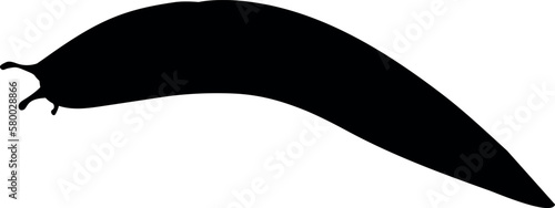 Black silhouette of slug isolated on white background