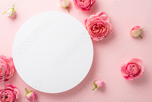 Mother's Day concept. Top view photo of white empty circle and fresh flowers pink peony roses on isolated pastel pink background with empty space