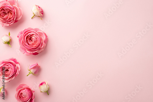 Saint Valentine's Day concept. Top view photo of pink peony roses on isolated pastel pink background with copyspace