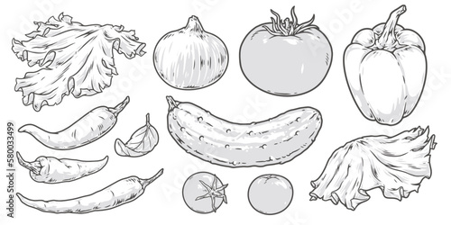 Fresh vegetables set stickers monochrome