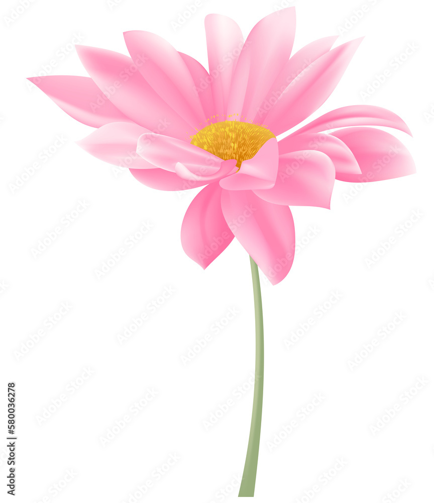 Pink flowers in spring Pink flowers in spring