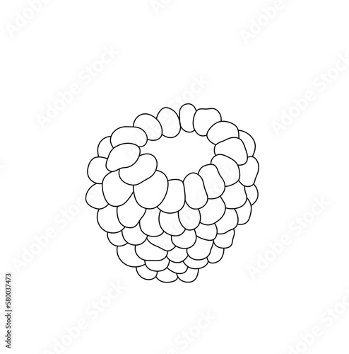 Vector isolated one single raspberry berry without leaves  colorless black and white contour line easy drawing

