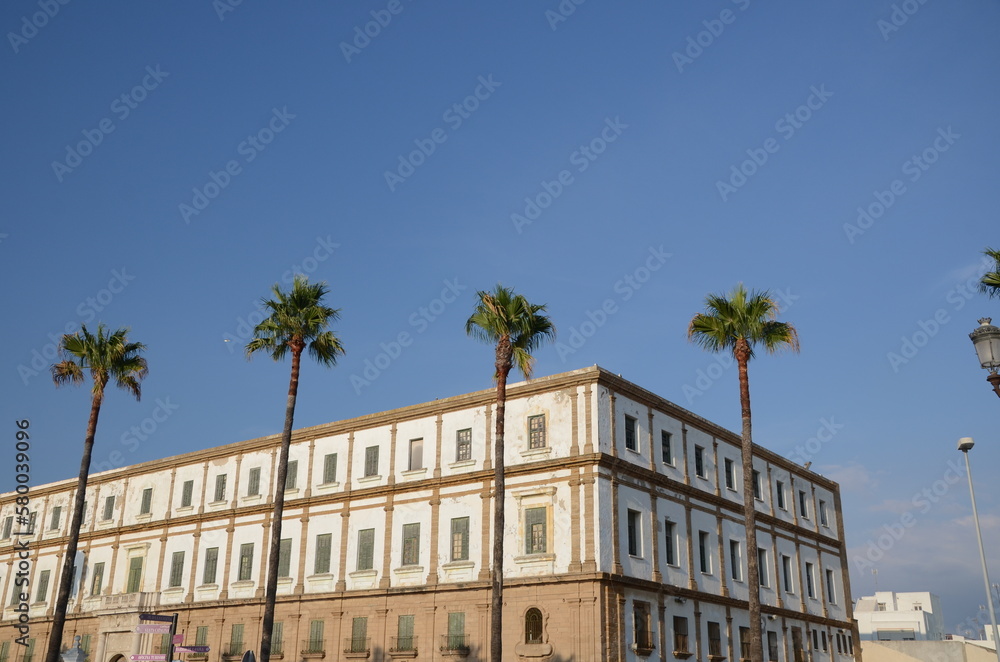 Cadiz, bâtiments et palmiers