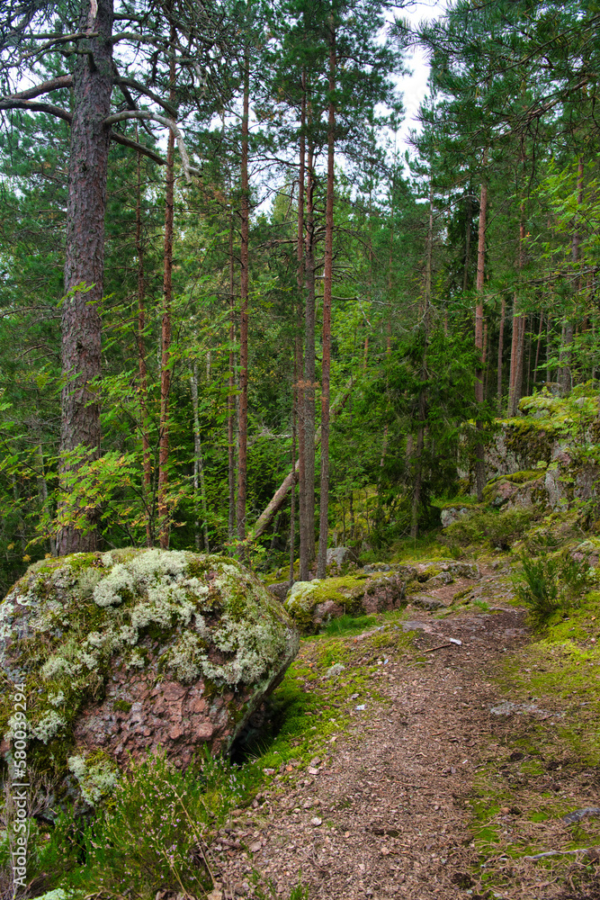 Huge boulders stones covered with moss in the pine forest, Park Mon Repos, Vyborg, Russia Huge boulders stones covered with moss in the pine forest, Park Mon Repos, Vyborg, Russia