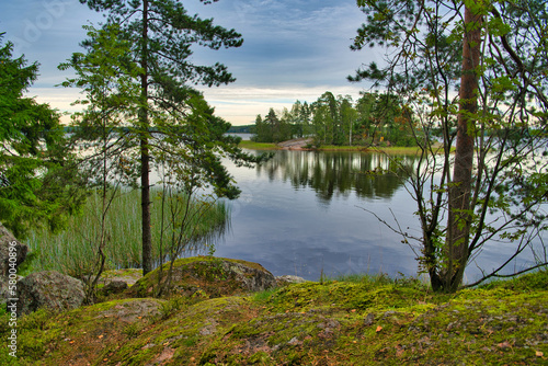 Island with pine forest in beautiful fresh blue lake  Park Mon Repos  Vyborg  Russia