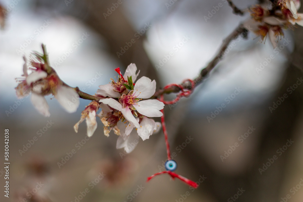 Blossoming almond branch, you can see hanging from it a Martinica bracelet of the wishes of Bulgarian tradition. Martenica Blossoming almond branch, you can see hanging from it a Martinica bracelet of the wishes of Bulgarian tradition. Martenica