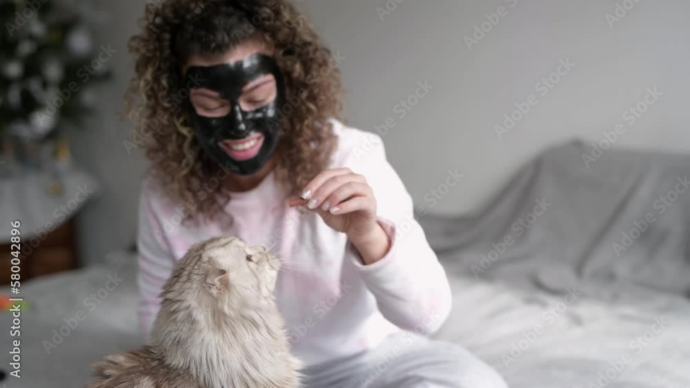 woman giving treats to cat on sofa woman giving treats to cat on sofa