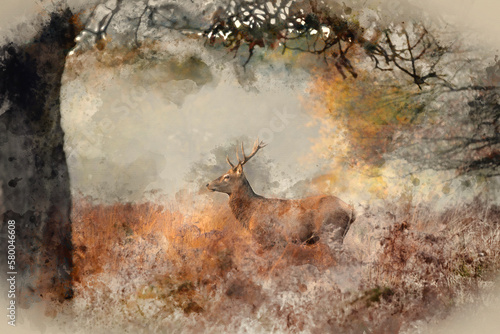 Digital watercolour painting of Stunning red deer stag Cervus Elaphus wild animal in Autumn landscape woodland setting