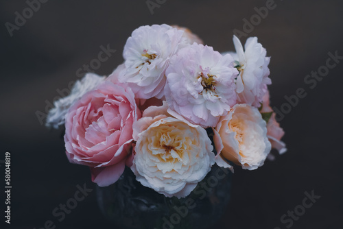 Vintage pink rose on a black background