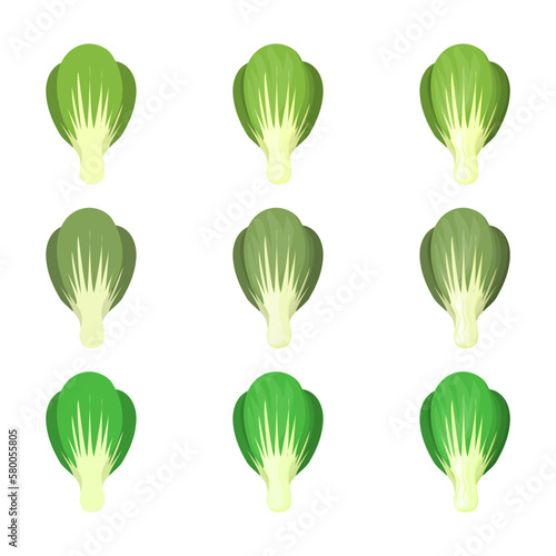 A vector drawn bok choy illustration with various colors and amount of details