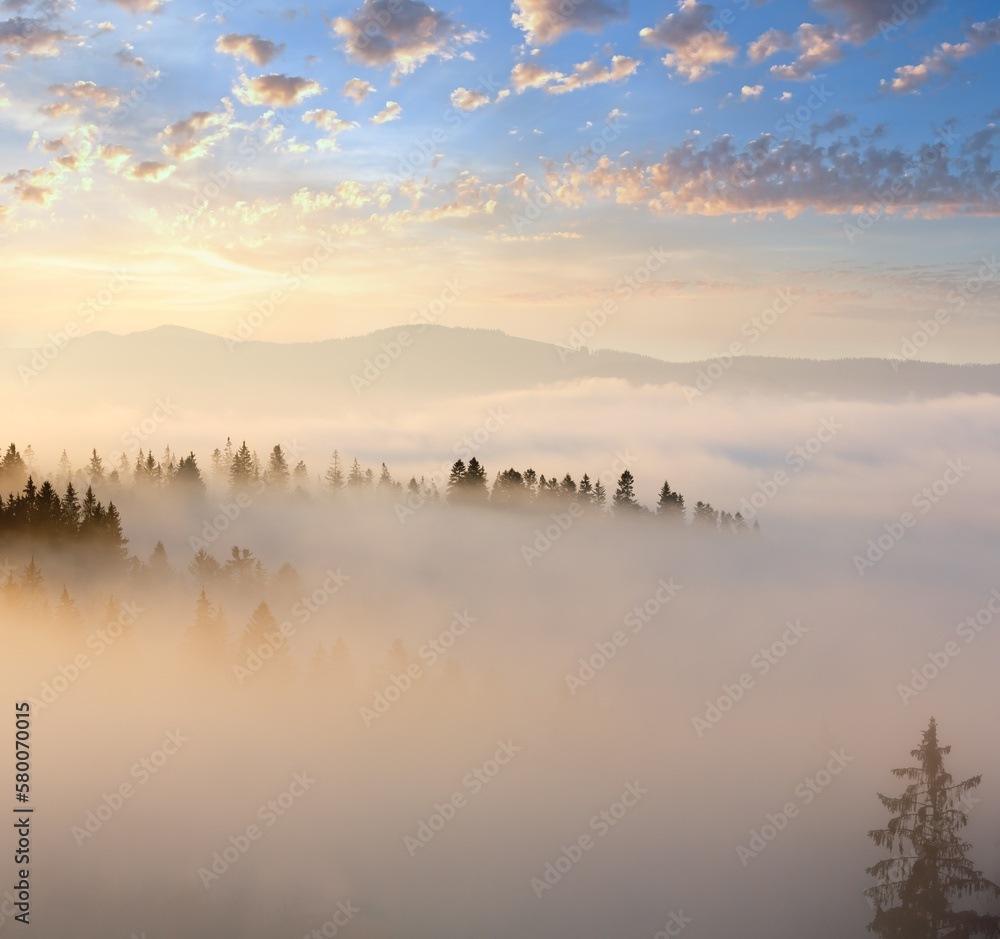 Morning fog on slopes of the Carpathian Mountains (Ivano-Frankivsk oblast, Ukraine). View on Chornohora ridge.