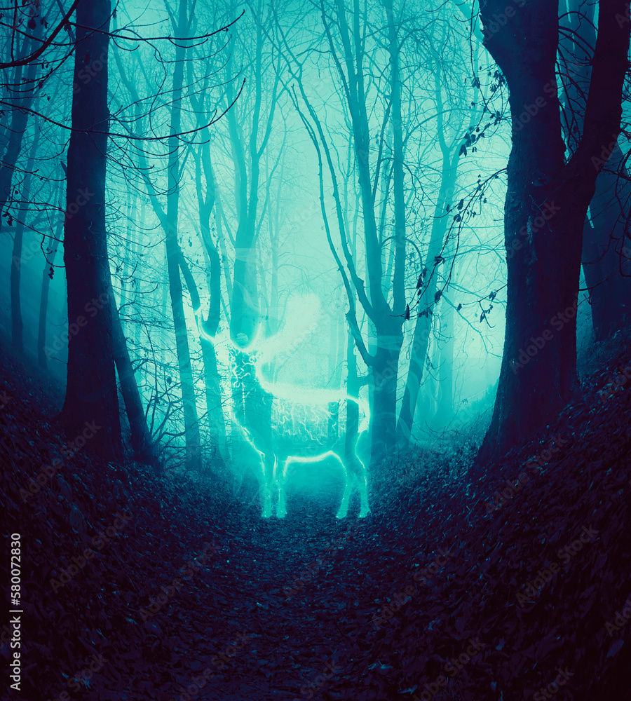 Fototapeta premium Deer in the forest