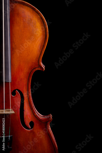 Violin with room for text