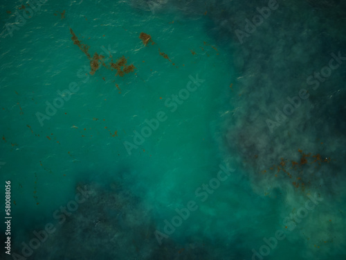 Seaweed in the sea. Shooting from the air. Bright turquoise sea water and brown algae. Ecology, environmental protection. Changing of the climate. Global warming.