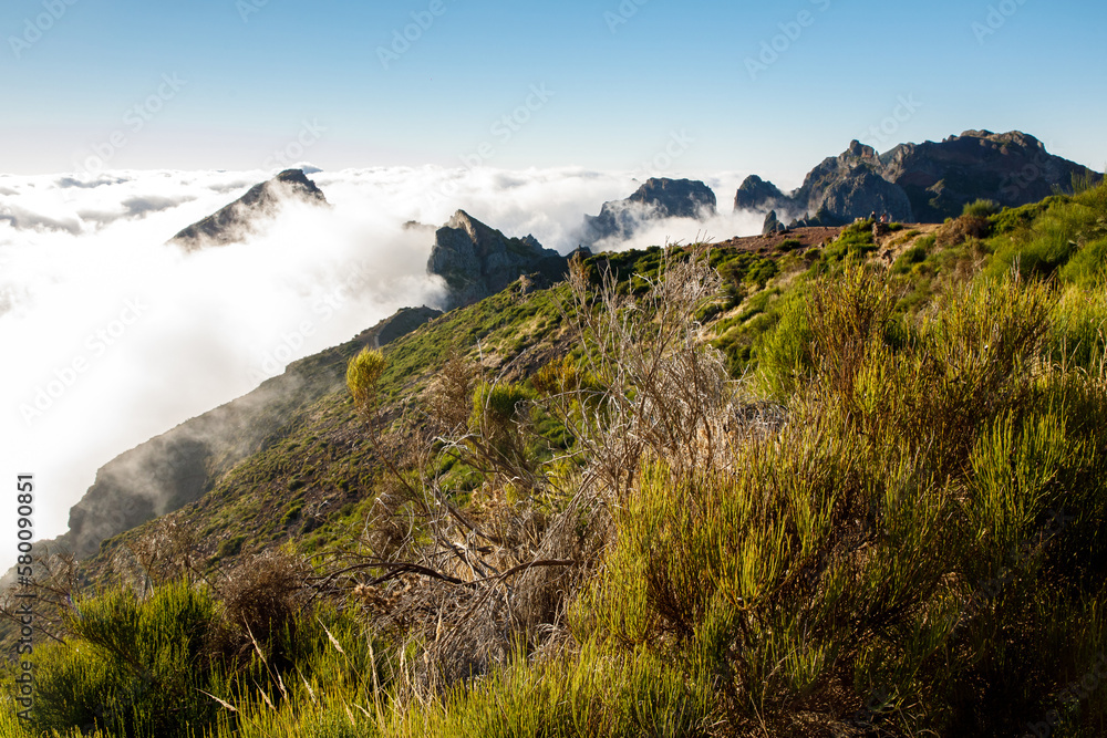 The mountain peaks in Madeira island in clouds, Fog around the rocks. The mountain peaks in Madeira island in clouds, Fog around the rocks.