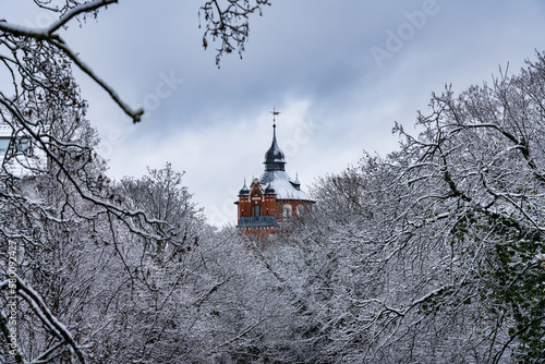 Braunschweiger Wasserturm im Winter photo