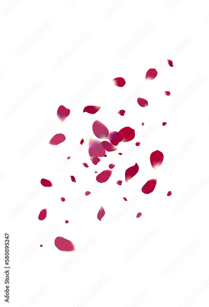 Delicate Petal Tender Vector White Background. Delicate Petal Tender Vector White Background.