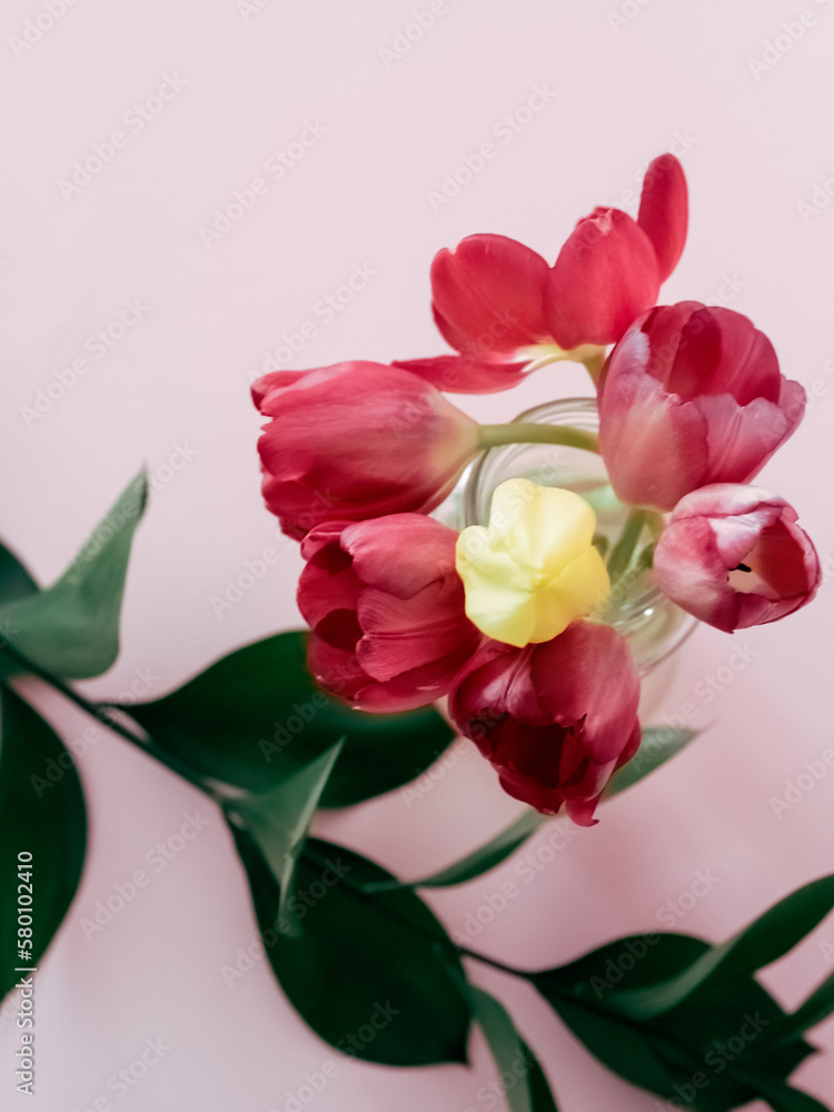 Bouquet of pink and yellow tulips in a jar on a pink background Bouquet of pink and yellow tulips in a jar on a pink background
