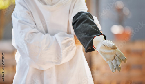 Beekeeper, hand and glove on bee farming worker ready for maintenance, harvest and manufacturing of honey in a factory, warehouse or workshop. Hands of worker with safety gear for working with bees