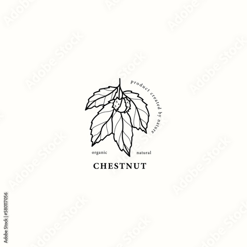 Line art chestnut branch illustration