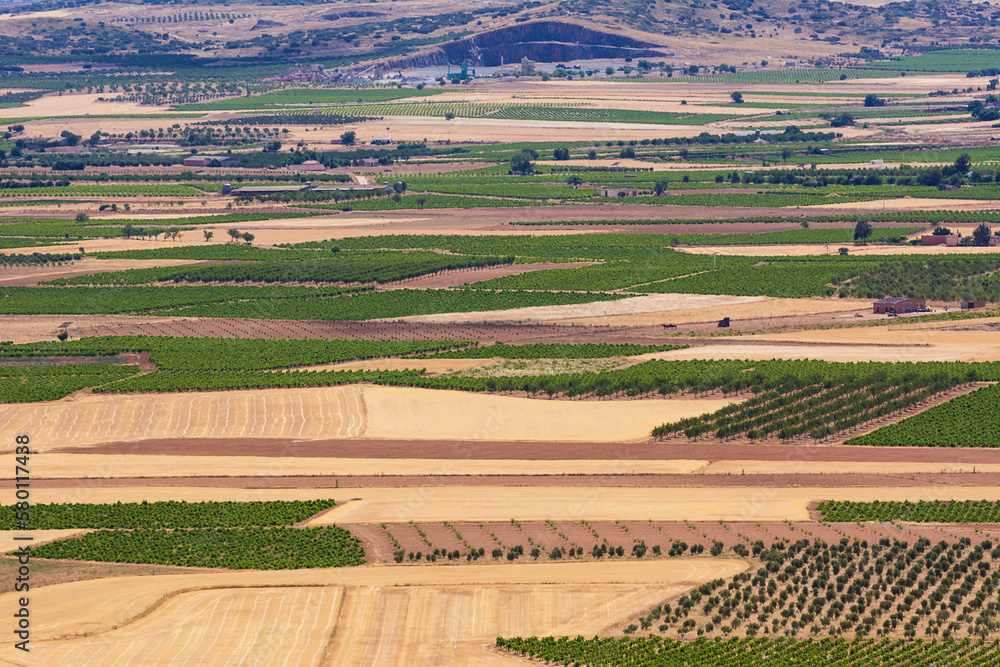 La Mancha plain with geometries of agricultural plots of land