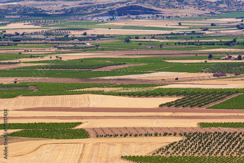 La Mancha plain with geometries of agricultural plots of land