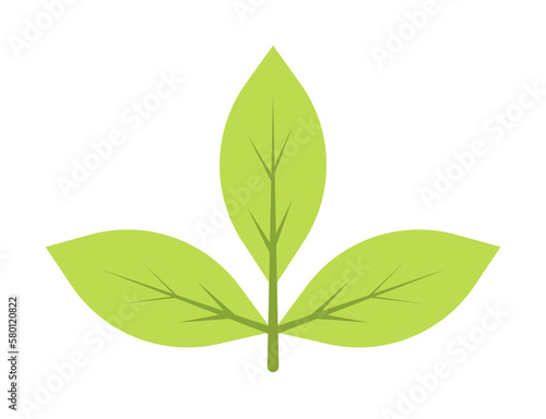 Autumn leave  green icon. Simple line  outline of color leaves icons for ui and ux  website or mobile application on white background