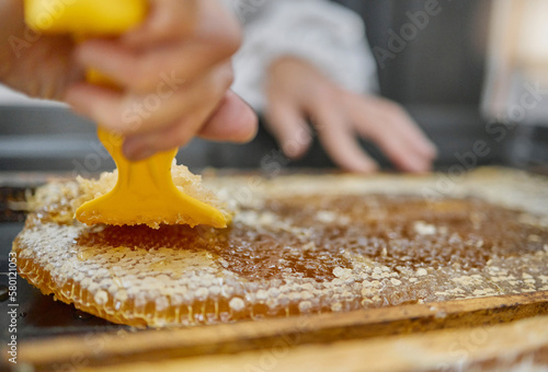 Beekeeping, honeycomb and hands with tools for honey collection, extraction and production process. Nature, farming and beekeeper with equipment to harvest natural, organic and food produce from bees