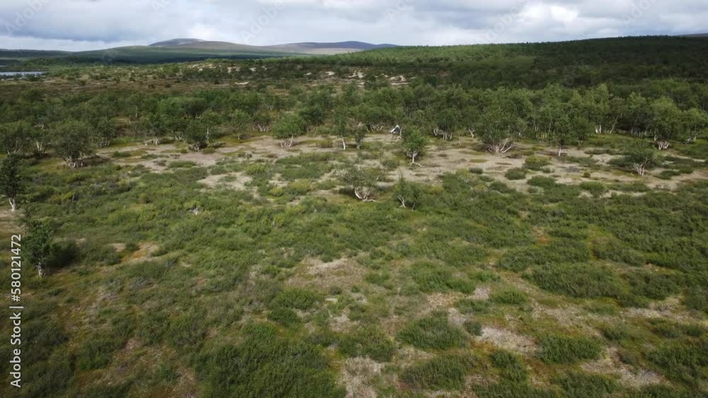Low altitude forward flight over arctic bush wilderness Low altitude forward flight over arctic bush wilderness