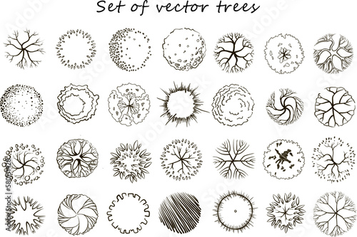 Simple tree collection, top view