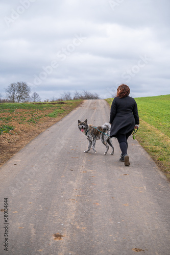 Woman with brown curly hair is walking her akita inu dog with gray fur, dog looking at camera, agricultural path, countryside during cloudy day, vertical shot