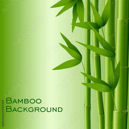 Bamboo background