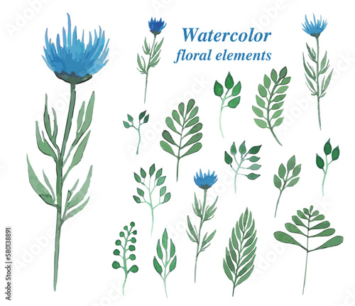 Blue flower collection, watercolor illustration