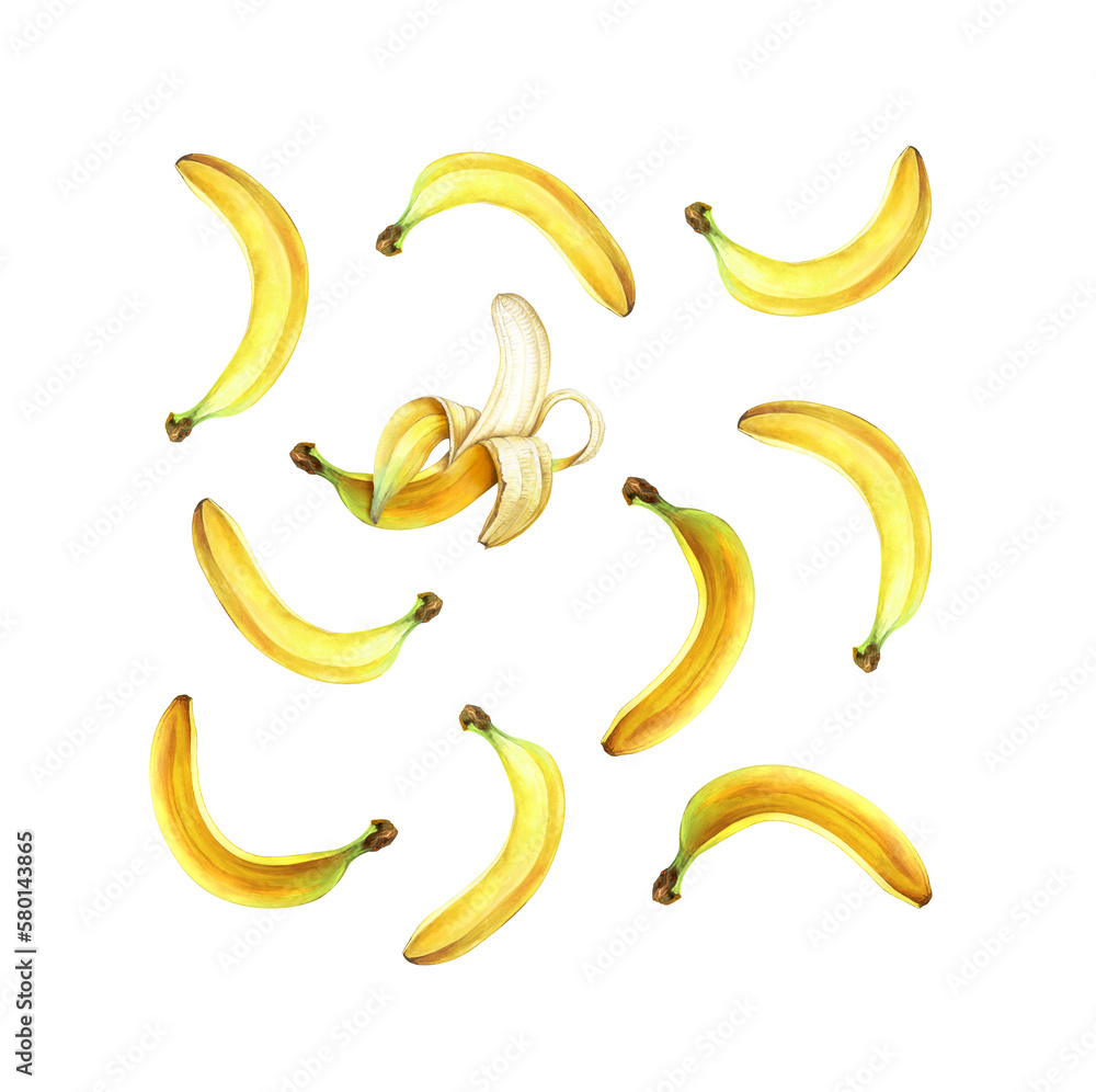 Pattern with bananas isolated on transparent background, PNG. Watercolor illustration. Pattern with bananas isolated on transparent background, PNG. Watercolor illustration.