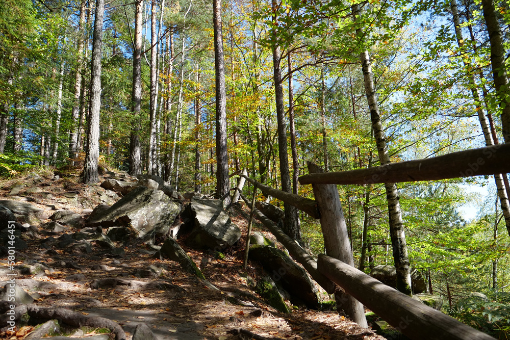 Fototapeta premium Dovbush path - route through wooded mountain slopes near Yaremche, Ukraine