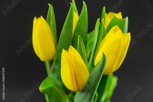 Bouquet of yellow tulips on a black background
