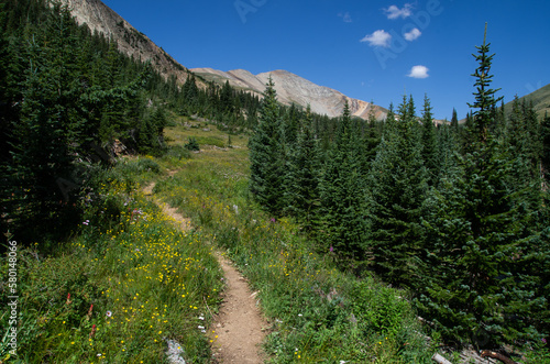 hiking trail on wild flower meadow up to mountain peak