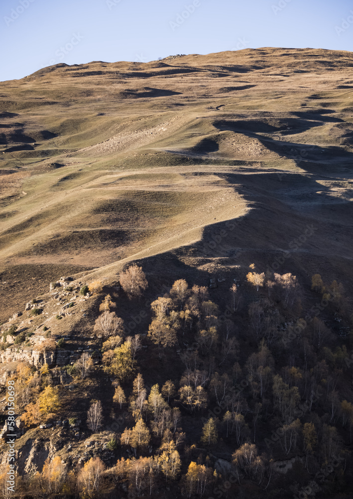 Fototapeta premium Mountain slope with rocks, cliffs and trees yellowed in autumn, birches, autumn early sunny morning