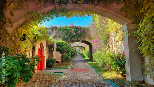 Photography archway in the park