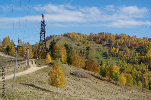 Beautiful autumn forest in Carpathian mountains photo