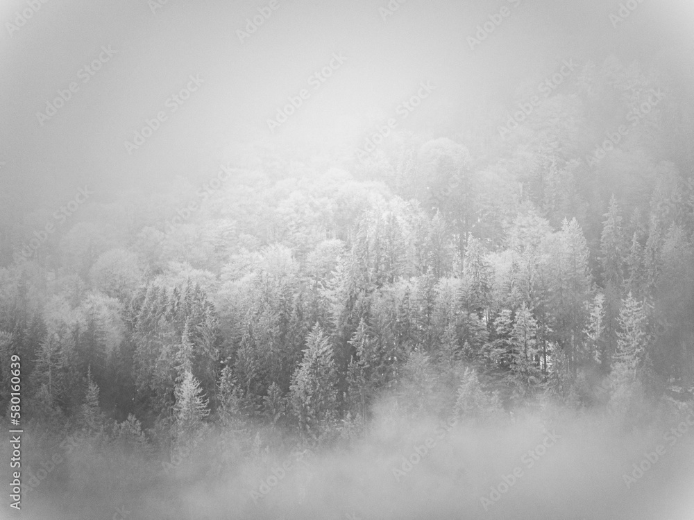 Fototapeta premium winter landscape in bucegi national park, romania 